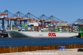OOCL Sweden (MB-120826-1).jpg
