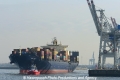 MSC Mira 270213-05.jpg