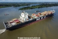 MSC Maureen TL-230823-2.jpg