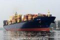 MSC Mira 131008-05.jpg