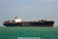 MSC Eugenia (MM-220212-1).jpg