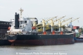 Newseas Pearl (KB-D160513-02).jpg