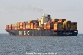 MSC Michigan VII JG-150425-3.jpg