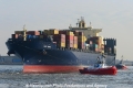 MSC Mira 270213-04.jpg