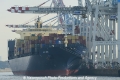 MSC Mira 270213-10.jpg