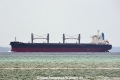 Nicon Fortune OS-231019-03.jpg