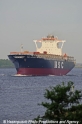 MSC Michaela 260511-02.jpg