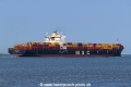 MSC Federica (KK-230519-2).jpg
