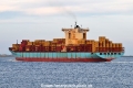 MSC Nicole X OS-220625-31.jpg