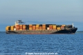 MSC Lausanne VI (KK-110725-1).jpg