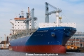 Seatrade Green (MM-260324-1).jpg