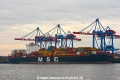 MSC Palak (KB-D060219-01).jpg