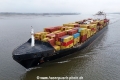 MSC Lausanne VI KH-260225-3.jpg