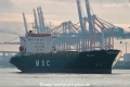 MSC Joy JP-100121-06.jpg