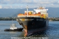 MSC Nerissa RV-201111-02.jpg