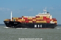 MSC Joy (MM-130423-1).jpg