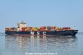 MSC Ornella OS-260624-07.jpg