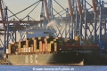 MSC Palak (KB-D181220-01).jpg