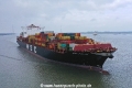 MSC Palak KH-050219-2.jpg