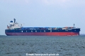 Sunny Kamsar (MS-310725-02).jpg