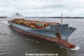 MSC Maritina V KH-250324-3.jpg