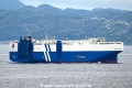 Peony Leader OS-110425-19.jpg