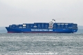 Panda 007 OS-171024-14.jpg