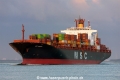 MSC Messina (MM-120716-1).jpg