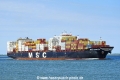 MSC Sasha (LW-030525-04).jpg