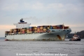 MSC Shenzhen (KB-D311013-01).jpg