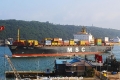 MSC Natalia OS-290212-06.jpg