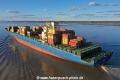 MSC Rida KH-191022-9.jpg