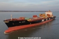 MSC Monica KH-250221-4.jpg