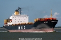 MSC Malin SH-200819-01.jpg
