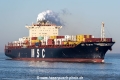 MSC Pilar VI SH-020225-01.jpg