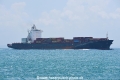 MSC Manu OS-251019-07.jpg