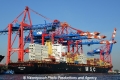 MSC Matilde 070513-03.jpg