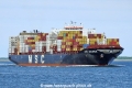 MSC Sasha (LW-030525-01).jpg