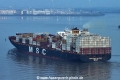 MSC Sofia Celeste 120923-4.jpg