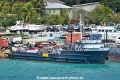 Tortola's Pride OS-260326-02.jpg