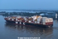MSC Sofia Celeste 120923-3.jpg