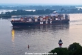 MSC Sofia Celeste 120923-2.jpg
