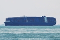Ussama Bhum OS-221024-1.jpg