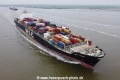 MSC Sindy TL-240621-1.jpg