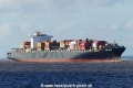 MSC Spain (KK-240517-1).jpg