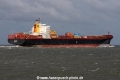 MSC Roberta JG-080615-03.jpg