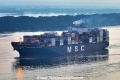 MSC Sofia Celeste 120923-1.jpg