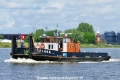 Tiger (OK-180626-0).jpg