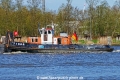Tiger (OK-090426-1).jpg