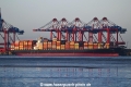 MSC Uberty OS-011121-01.jpg